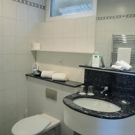 Bellavista Swiss Quality Hotel Gambarogno Extérieur photo
